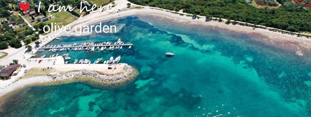 Apartment Olive Garden Vodnjan Dış mekan fotoğraf