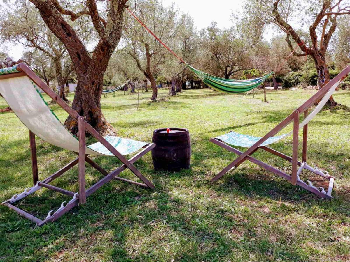 Apartment Olive Garden Vodnjan Dış mekan fotoğraf